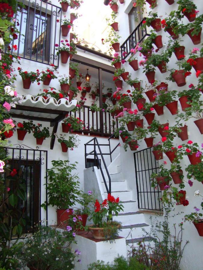 El Balcon De La Juderia Διαμέρισμα Κόρδοβα Εξωτερικό φωτογραφία